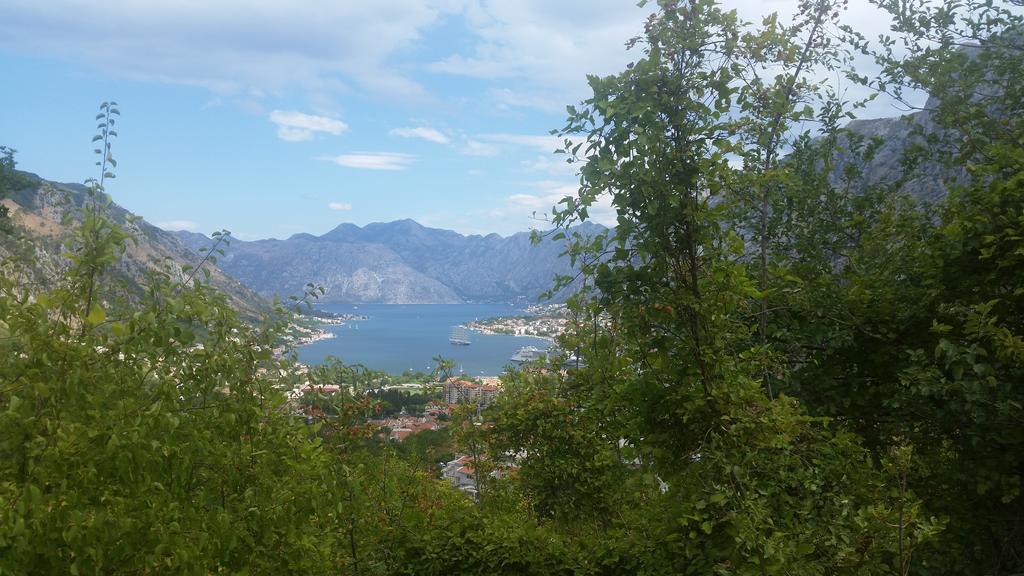 Apartments Panoramic Paradise Kotor Exteriér fotografie